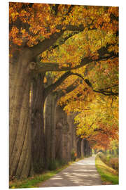 Foam board print Autumn colors