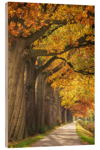 Tableau en bois Couleurs d'automne