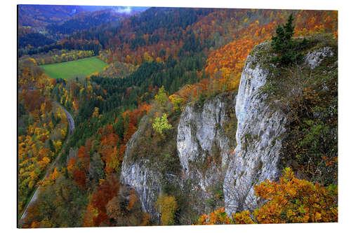 Aluminium print Eichfelsen, Upper Danube Valley