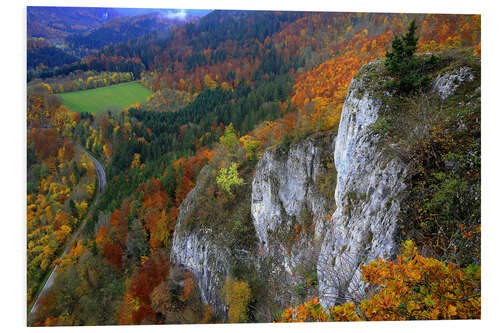 Tableau en PVC Eichfelsen, vallée du haut Danube