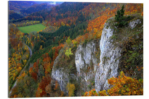 Tableau en plexi-alu Eichfelsen, vallée du haut Danube