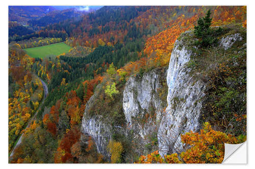 Wandsticker Eichfelsen, Oberes Donautal