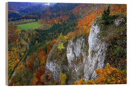 Hout print Eichfelsen, Upper Danube Valley