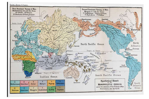 Stampa su alluminio Origini umane di Lemuria