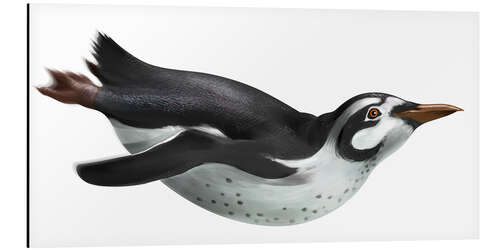Aluminium print Extinct penguin
