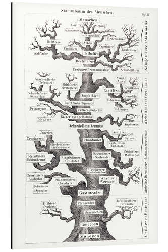 Tableau en aluminium Arbre de la vie