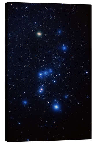 Canvas print Orion constellation