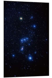 Foam board print Orion constellation