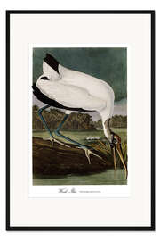 Gerahmter Kunstdruck Waldstorch