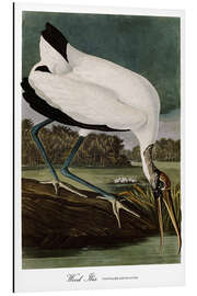 Magnettafel Waldstorch