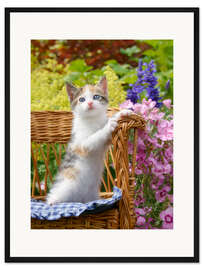 Gerahmter Kunstdruck Niedliches Katzenbaby im Blumengarten