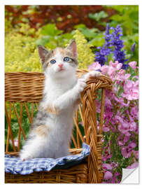 Naklejka na ścianę Cute kitten in the flower garden