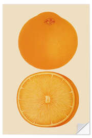 Sisustustarra Orange