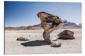 Cuadro de aluminio Formación rocosa en el desierto de Bolivia