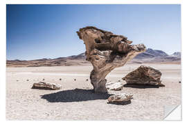 Selvklebende plakat Rock Formation in the Desert in Bolivia