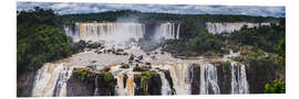 Foam board print Iguazu Falls in Argentina