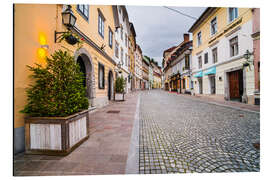 Alubild Pflastersteinstraße in Ljubljana, Slowenien