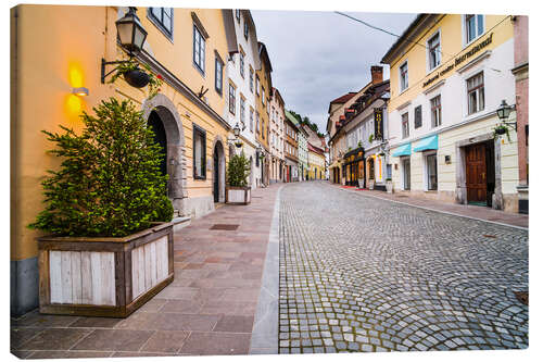 Canvastavla Ljubljana Cobbled Street and Architecture