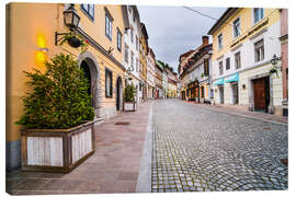 Canvastavla Ljubljana Cobbled Street and Architecture