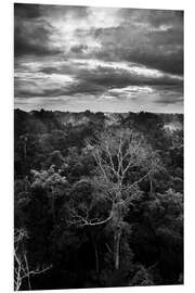 Hartschaumbild Dramatischer Himmel über dem Amazonas