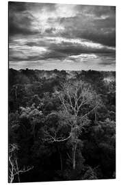 Magnettafel Dramatischer Himmel über dem Amazonas