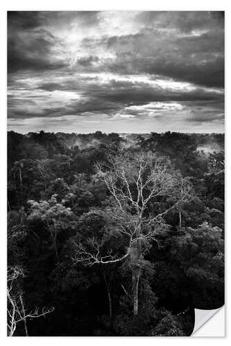 Selvklæbende plakat Dramatic sky over the Amazon