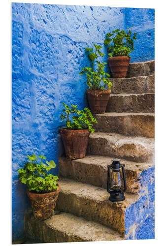 Print på skumplade Minimalist Plants and Blue Walls