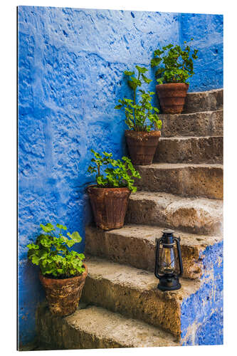 Gallery print Minimalist Plants and Blue Walls