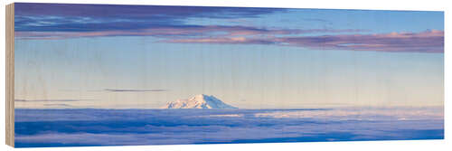 Puutaulu Chimborazo Volcano Above the Clouds