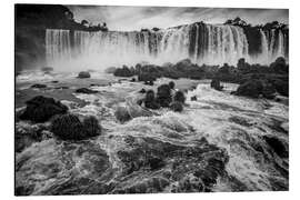 Tableau en aluminium Chutes d'Iguazu dans la jungle du Brésil et d'Argentine