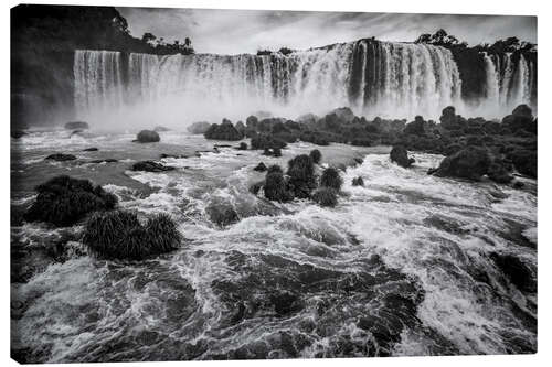 Obraz na płótnie Iguazu Falls in the Jungle of Brazil and Argentina