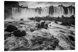 Foam board print Iguazu Falls in the Jungle of Brazil and Argentina