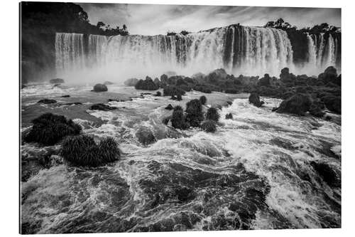 Gallery Print Iguazu fällt in den Dschungel von Brasilien und Argentinien