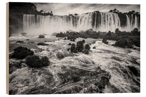 Holzbild Iguazu fällt in den Dschungel von Brasilien und Argentinien