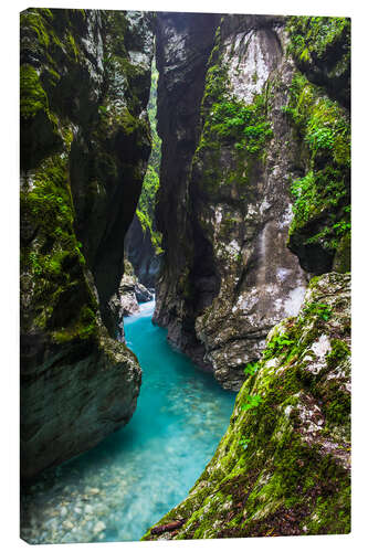 Canvas print Canyon in Triglav National Park in Slovenia