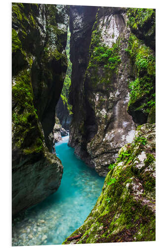 Foam board print Canyon in Triglav National Park in Slovenia