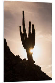 Tableau en aluminium Cactus au coucher du soleil avec Sun Star