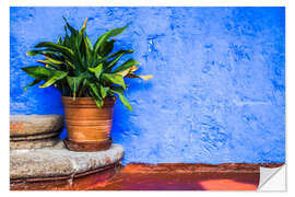 Muursticker Green Pot Plant with Bright Blue Wall Background