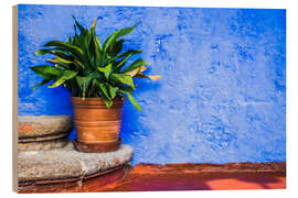 Cuadro de madera Planta de maceta verde con fondo de pared azul brillante