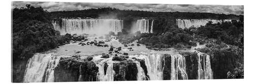 Acrylglas print Iguana waterfall in Argentina