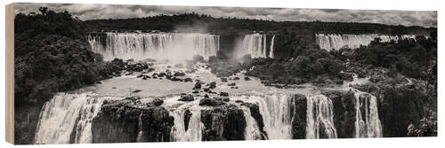 Wood print Iguana waterfall in Argentina