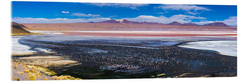 Acrylglasbild Flamingos in einem See im Altiplano von Bolivien