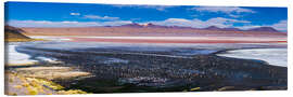 Canvastavla Flamingos in a lake in the Altiplano of Bolivia