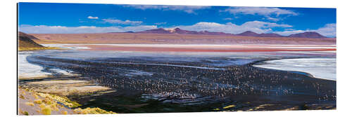 Gallery print Flamingos in a lake in the Altiplano of Bolivia