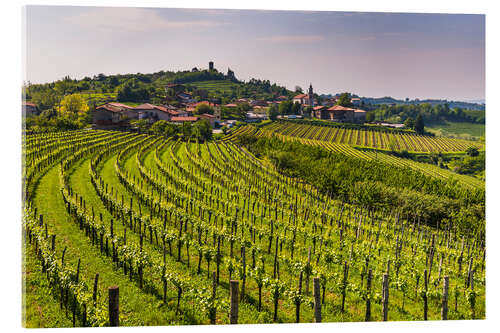 Acrylglasbild Weinberge in einem Weingut in den Rolling Hills