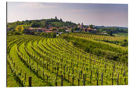 Tableau en aluminium Vignobles dans une cave dans les Rolling Hills