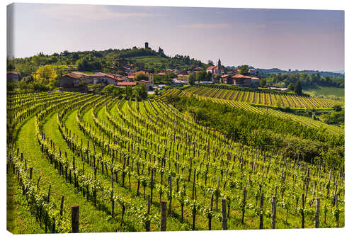 Canvastavla Vineyards at a Winery in the Rolling Hills