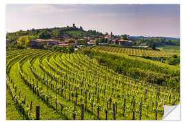 Naklejka na ścianę Vineyards at a Winery in the Rolling Hills