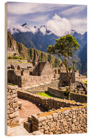 Print på træ Machu Picchu in the Andes Mountains of Peru