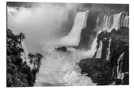 Aluminiumtavla Iguazu waterfall in Argentina